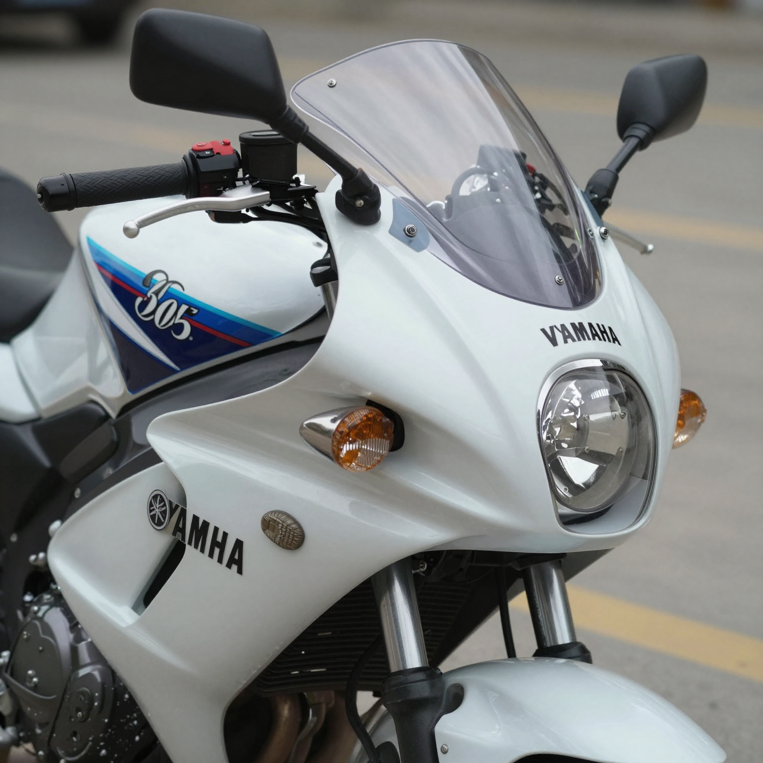 1990 Yamaha 1300 Fairing