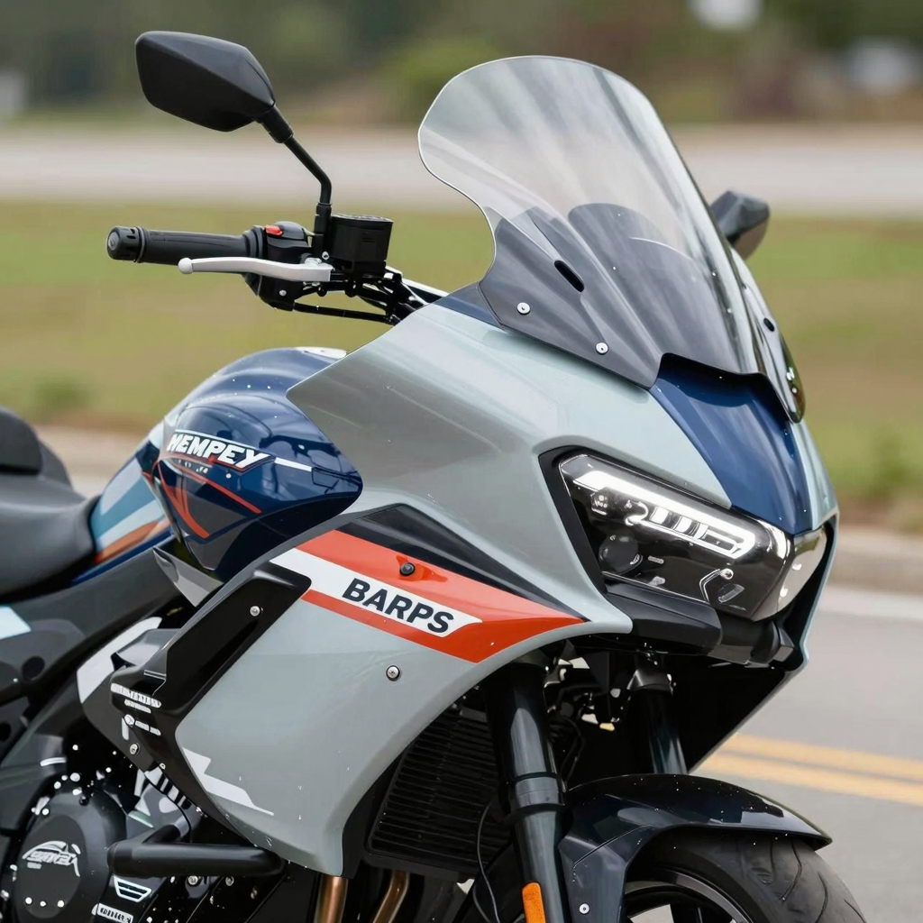 Customized Memphis Shades Batwing Fairing